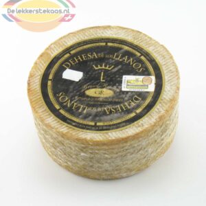 manchego kaas kopen