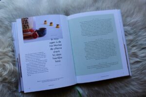 Nederlandse Kaasplank boek.2