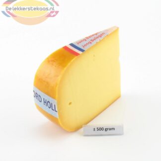 Noord-Hollandse Jong Belegen 48+